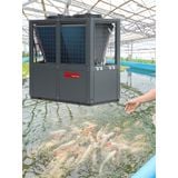  MÁY NƯỚC NÓNG BƠM NHIỆT HEATPUMP - IMPOSOL CÔNG NGHIỆP 