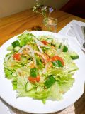  Salad Trộn Dầu Giấm 