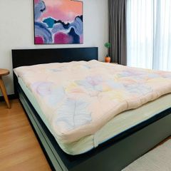 TOPPER LÓT NỆM MODAL LÁ HỒNG