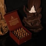  Trầm Hương Nụ Cao Cấp 