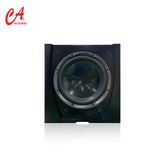  Sub CaSound SK - 12 