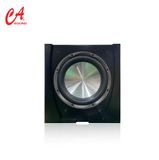  Sub CaSound SK - 12 