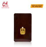  Loa CASound PK Pro 600 