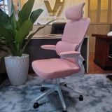  Ghế Công Thái Học TD889 