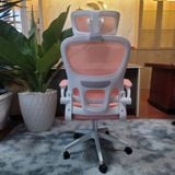  Ghế Công Thái Học TD889 