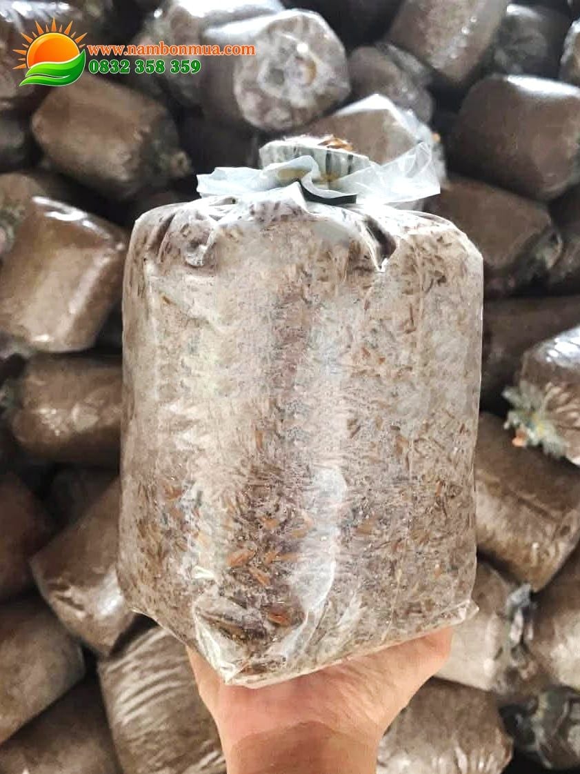 Meo Giống Nấm Rơm - Thương hiệu Làng Nấm Bốn Mùa