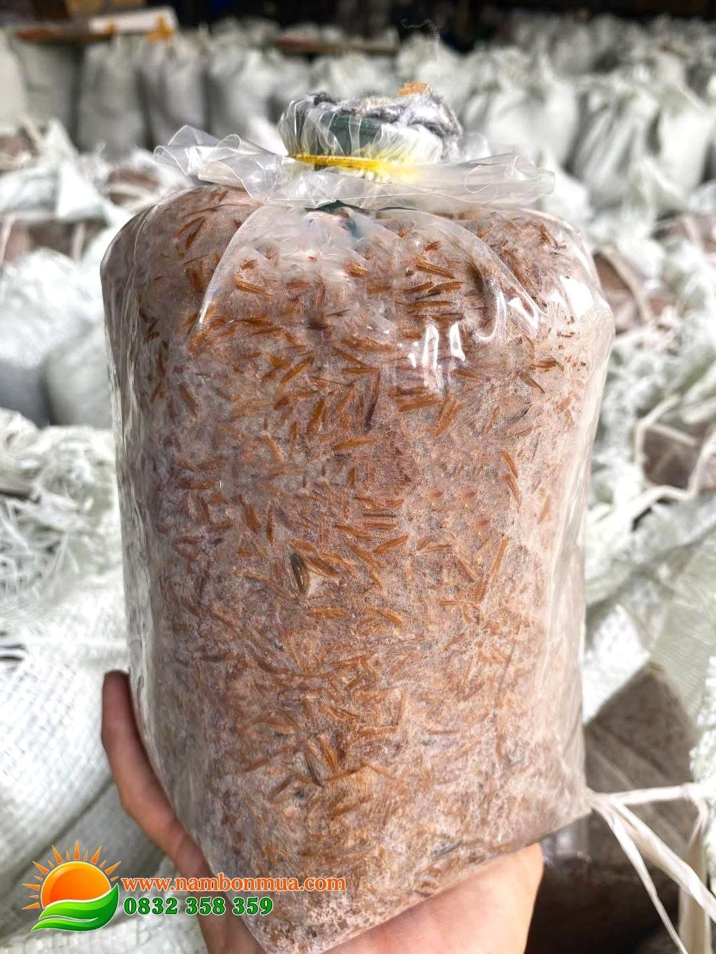 Meo Giống Nấm Rơm - Thương hiệu Làng Nấm Bốn Mùa