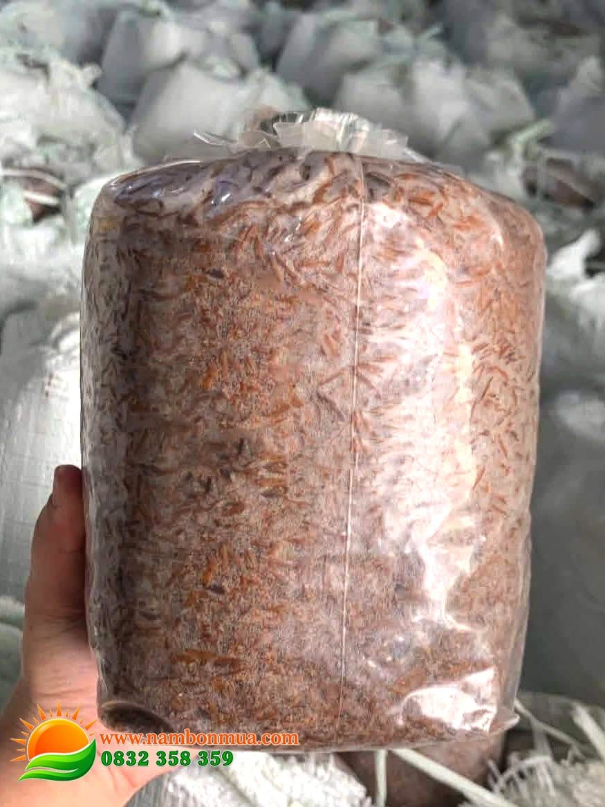 Meo Giống Nấm Rơm - Thương hiệu Làng Nấm Bốn Mùa
