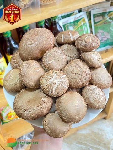 Mua Nấm Hương Tươi - 100% Nấm Sạch, Chất Lượng Từ Nông Trại