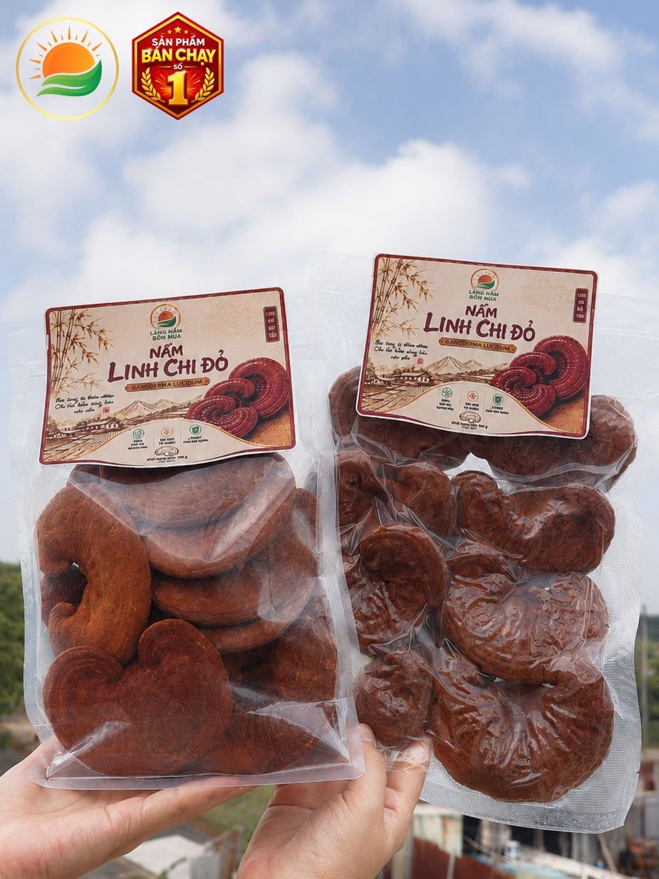 Nấm Linh Chi Đỏ Nguyên Tai Loại Đặc Biệt, Tai To, Dày, Chất Lượng Cao