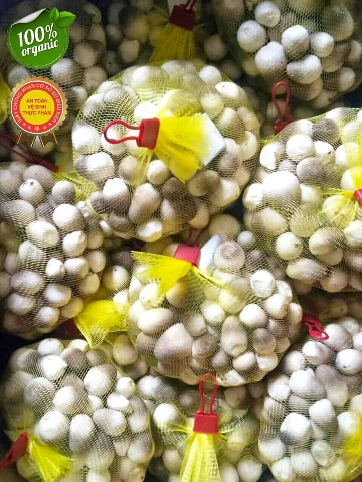 Nấm Rơm Tươi Loại 1 – Nấm Búp Chắc, Giòn Ngọt, Giao Nhanh Trong Ngày