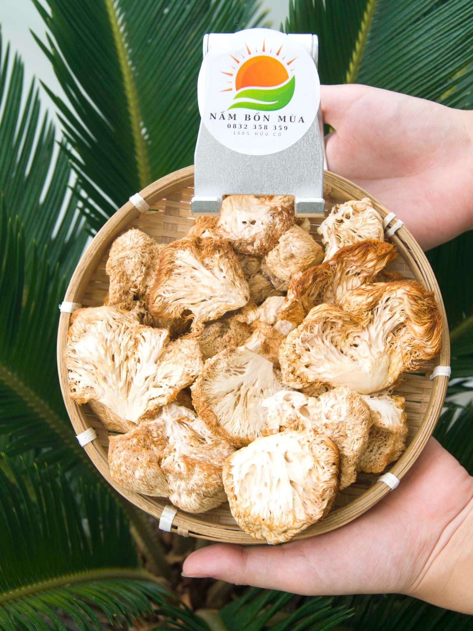 Nấm Hầu Thủ Sấy Khô, Thái Lát 100% Hữu Cơ