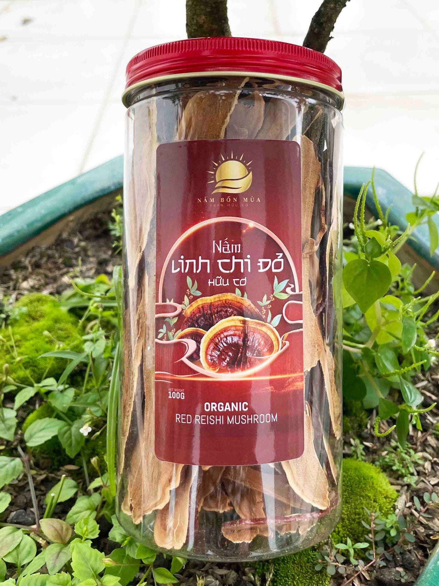 Nấm Linh Chi Đỏ - 100% Nấm Thiên Nhiên, Nguyên Chất, Dược Tính Tối Ưu