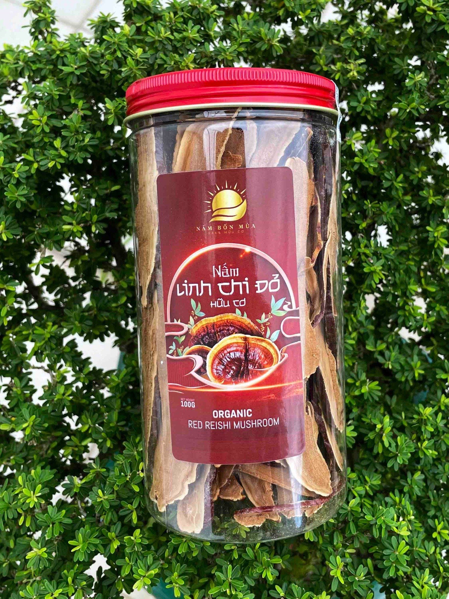 Nấm Linh Chi Đỏ - 100% Nấm Thiên Nhiên, Nguyên Chất, Dược Tính Tối Ưu