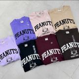  Bộ PEANUST 6 màu G4T4 DK7/3/26 