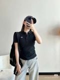  Áo POLO LACOSTE 4 màu thun tăm 250511 