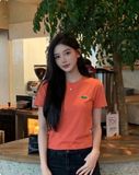  Áo phông trơn LACOSTE G1T1 SALE 