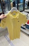  Áo POLO LACOSTE 4 màu thun tăm 250511 
