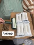  Set cây lau bụi 