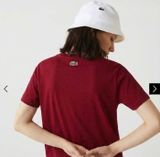  Áo phông trơn LACOSTE G1T1 SALE 