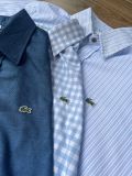  Áo sơ mi nam LACOSTE 3 màu 18101203 G9T3P 