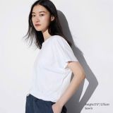  Áo phông cánh dơi 4 màu G11T3P 