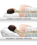  Gối Therapadic 0929520 SẴN 