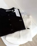  Áo POLO LACOSTE 4 màu thun tăm 250511 