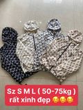  Áo gió MLB 0822521 G11-T1P ĐK 