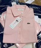  Áo POLO LACOSTE 4 màu thun tăm 250511 