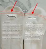  Tất các mã XK xịn đắt 0903 G8T4(để cùng tất vivien) 