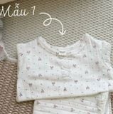  Set bé gái 0701199 