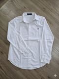  Áo sơ mi POLO ngựa thêu 3 màu 0508193 G4T2 