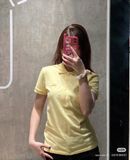  Áo Polo Lacoste Vàng 