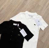  Áo POLO LACOSTE 4 màu thun tăm 250511 