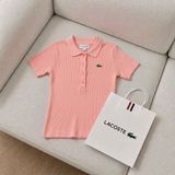  Áo POLO LACOSTE  thun tăm 2606250 ORDER 