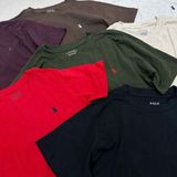  Áo phông POLO ngựa kids G8T4 