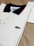  POLO LACOSTE cổ phối 03295 