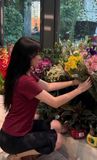  Áo phông trơn LACOSTE G1T1 SALE 