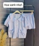  Set bộ hoa XK nhiều màu G11T1P 