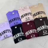  Bộ PEANUST 6 màu G4T4 DK7/3/26 