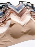  BRA NAUTICA 120326 G1T3 