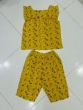 Set bộ đũi ngố G5T2 XẢ LẺ 