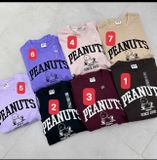  Bộ PEANUST 6 màu G4T4 DK7/3/26 