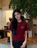  Áo phông trơn LACOSTE G1T1 SALE 