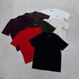  Áo phông POLO ngựa kids G8T4 