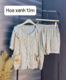  Set bộ hoa XK nhiều màu G11T1P 