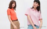  Áo polo uniqlo nhiều màu nữ G10T3T SALE 