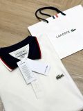  POLO LACOSTE cổ phối 03295 