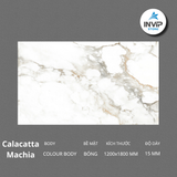 Đá nung kết Calacatta Machia Vân Khói Chỉ Vàng